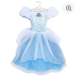 Cinderella Disney Princess Costume-Used once